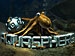 AquaSphere screenshot