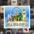 Aerial Mahjong game