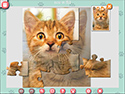 1001 Jigsaw Cute Cats screenshot