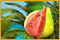 Dream Fruit Farm: Paradise Island game
