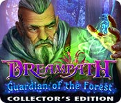 Dreampath: Guardian of the Forest Collector's Edition game