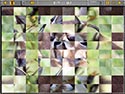 Sliders and Other Square Jigsaw Puzzles screenshot
