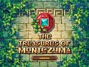 The Treasures Of Montezuma screenshot