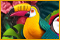 Twistingo: Bird Paradise game