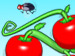 Garden Dreams game