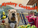 Mystery Cookbook screenshot