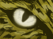 Nightshift Legacy - The Jaguars Eye game
