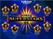 Poker Superstars II screenshot