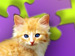 Super Jigsaw Adorable Animals 2 game