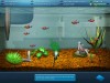 FishCo screenshot