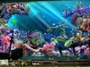 Zulu's Zoo screenshot