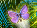 Tropico Jong Butterfly Expedition game