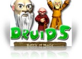 Download Druids - Battle of Magic Game