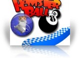 Download Hamsterball Game