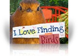 Download I Love Finding Birds Game